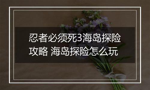 忍者必须死3海岛探险攻略 海岛探险怎么玩