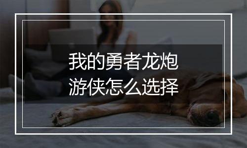 我的勇者龙炮游侠怎么选择