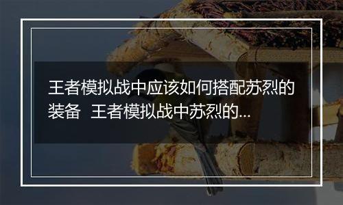 王者模拟战中应该如何搭配苏烈的装备  王者模拟战中苏烈的装备搭配推荐