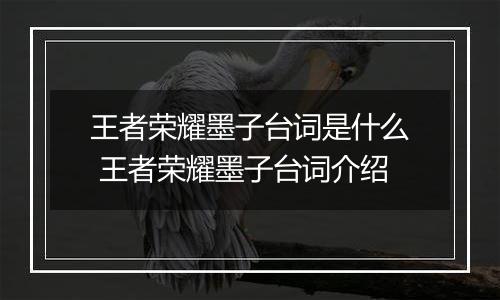 王者荣耀墨子台词是什么 王者荣耀墨子台词介绍