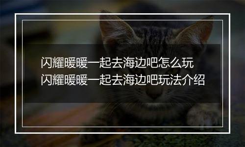 闪耀暖暖一起去海边吧怎么玩 闪耀暖暖一起去海边吧玩法介绍