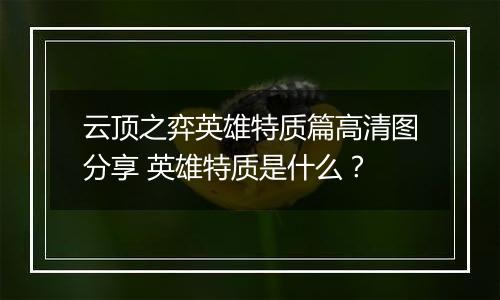 云顶之弈英雄特质篇高清图分享 英雄特质是什么？