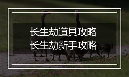 长生劫道具攻略 长生劫新手攻略
