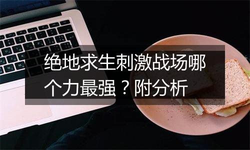 绝地求生刺激战场哪个力最强？附分析