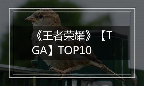 《王者荣耀》【TGA】TOP10