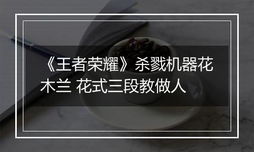 《王者荣耀》杀戮机器花木兰 花式三段教做人