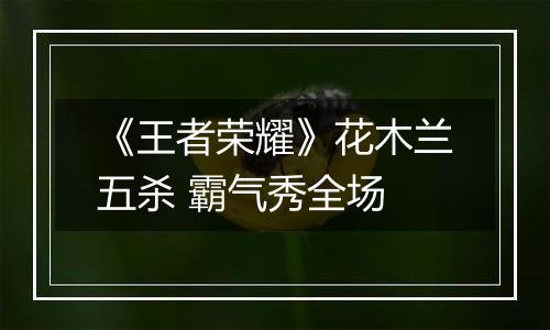 《王者荣耀》花木兰五杀 霸气秀全场