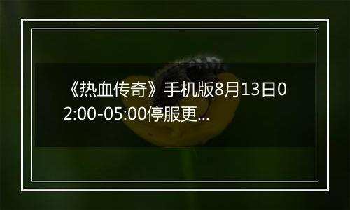 《热血传奇》手机版8月13日02:00-05:00停服更新