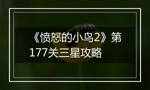 《愤怒的小鸟2》第177关三星攻略