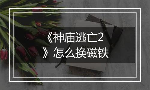《神庙逃亡2》怎么换磁铁