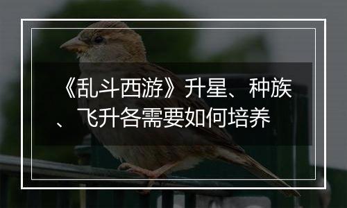 《乱斗西游》升星、种族、飞升各需要如何培养