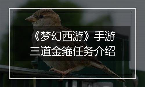 《梦幻西游》手游三道金箍任务介绍