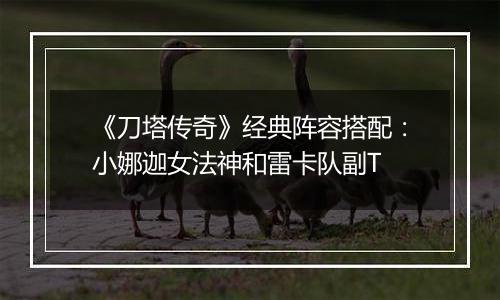 《刀塔传奇》经典阵容搭配：小娜迦女法神和雷卡队副T