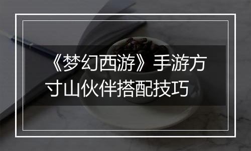 《梦幻西游》手游方寸山伙伴搭配技巧