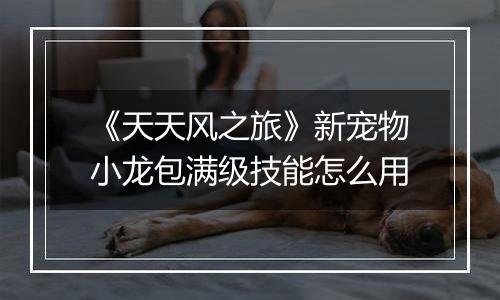 《天天风之旅》新宠物小龙包满级技能怎么用