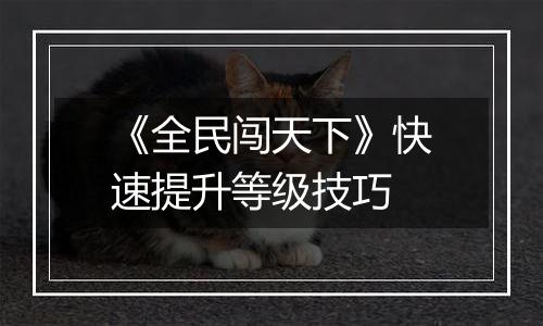 《全民闯天下》快速提升等级技巧