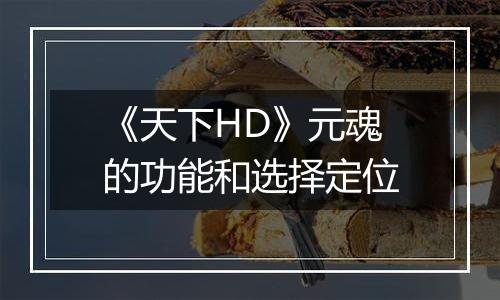 《天下HD》元魂的功能和选择定位