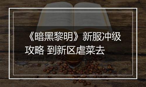 《暗黑黎明》新服冲级攻略 到新区虐菜去