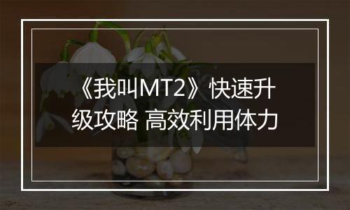 《我叫MT2》快速升级攻略 高效利用体力