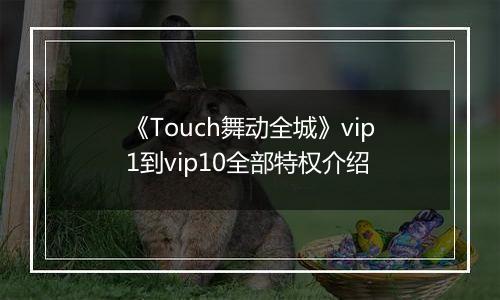 《Touch舞动全城》vip1到vip10全部特权介绍