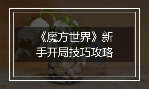 《魔方世界》新手开局技巧攻略