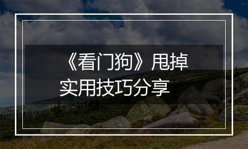 《看门狗》甩掉实用技巧分享