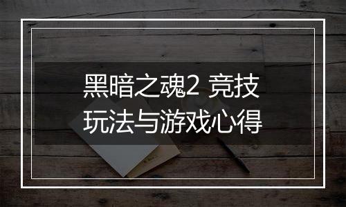 黑暗之魂2 竞技玩法与游戏心得