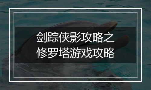 剑踪侠影攻略之修罗塔游戏攻略