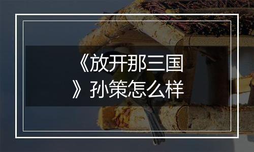 《放开那三国》孙策怎么样
