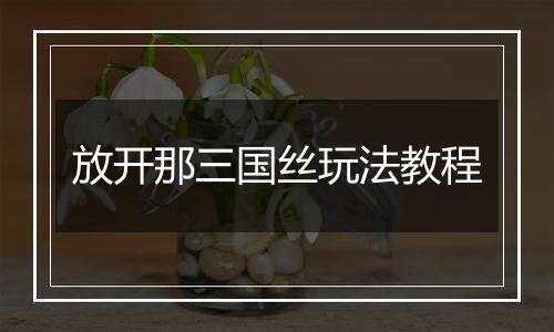 放开那三国丝玩法教程