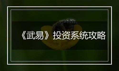 《武易》投资系统攻略