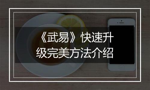 《武易》快速升级完美方法介绍