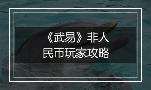 《武易》非人民币玩家攻略