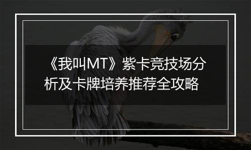 《我叫MT》紫卡竞技场分析及卡牌培养推荐全攻略