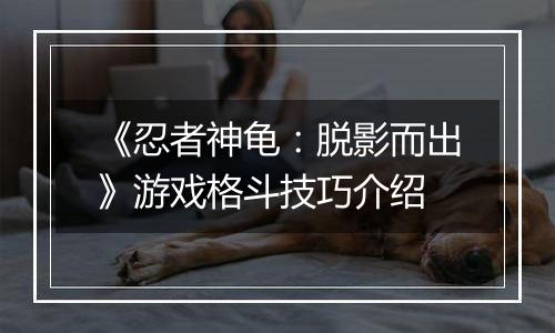 《忍者神龟:脱影而出》游戏格斗技巧介绍