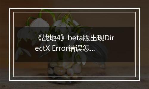 《战地4》beta版出现DirectX Error错误怎么办？