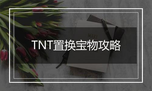 TNT置换宝物攻略