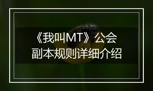 《我叫MT》公会副本规则详细介绍