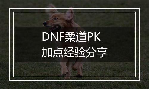 DNF柔道PK加点经验分享