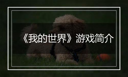 《我的世界》游戏简介