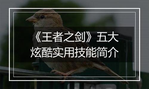 《王者之剑》五大炫酷实用技能简介