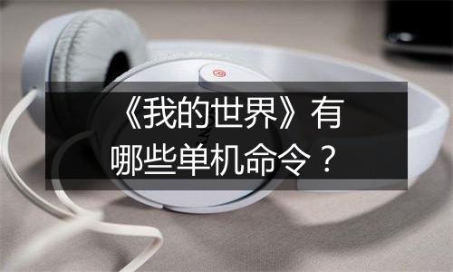 《我的世界》有哪些单机命令？