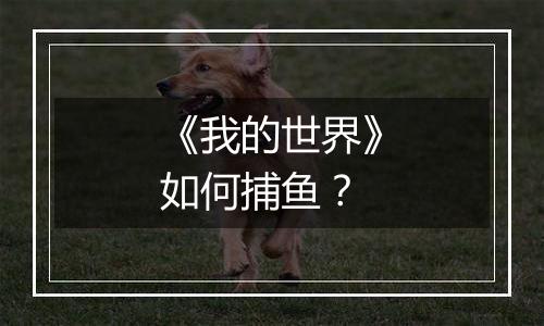 《我的世界》如何捕鱼？