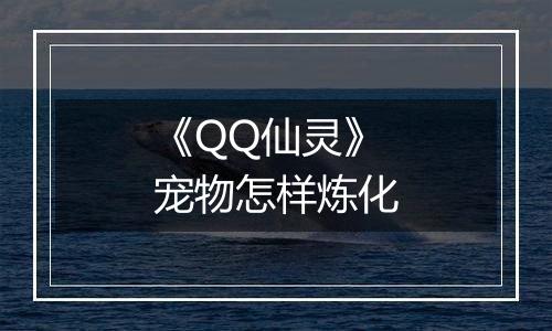 《QQ仙灵》宠物怎样炼化