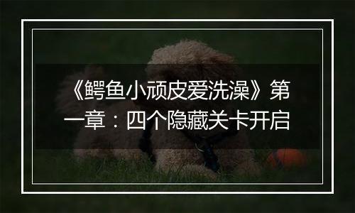 《鳄鱼小顽皮爱洗澡》第一章：四个隐藏关卡开启