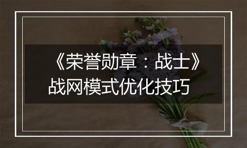 《荣誉勋章：战士》战网模式优化技巧
