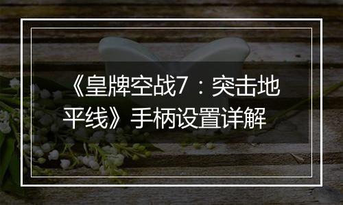 《皇牌空战7：突击地平线》手柄设置详解