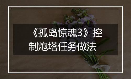 《孤岛惊魂3》控制炮塔任务做法