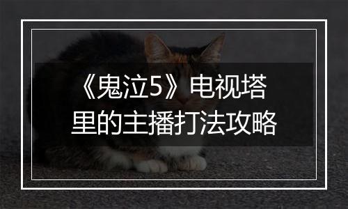 《鬼泣5》电视塔里的主播打法攻略