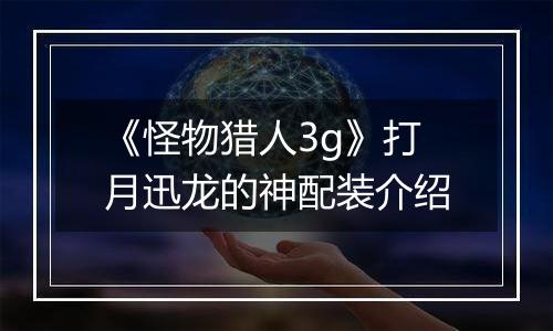 《怪物猎人3g》打月迅龙的神配装介绍